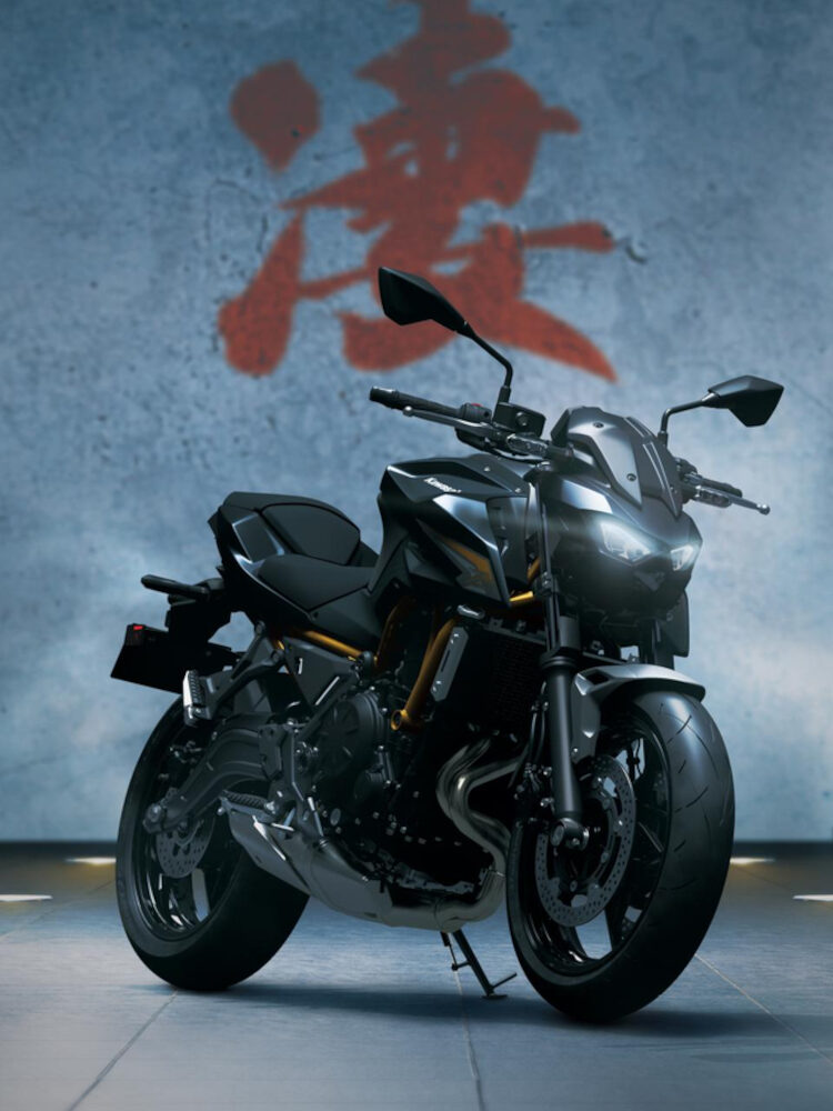 kawasaki 650s asturias
